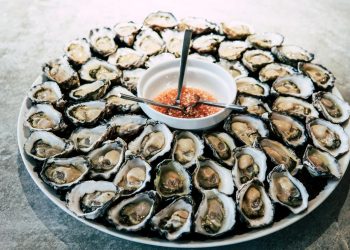 Oysters on Plate