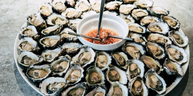 Oysters on Plate