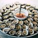 Oysters on Plate