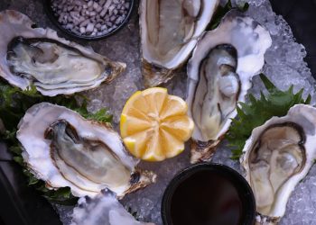 Fresh Oysters on Ice with Lemon Slice