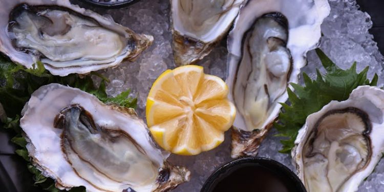 Fresh Oysters on Ice with Lemon Slice