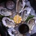 Fresh Oysters on Ice with Lemon Slice