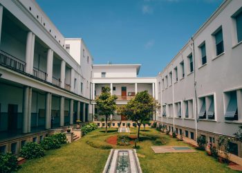 Green Trees Between White Concrete Buildings