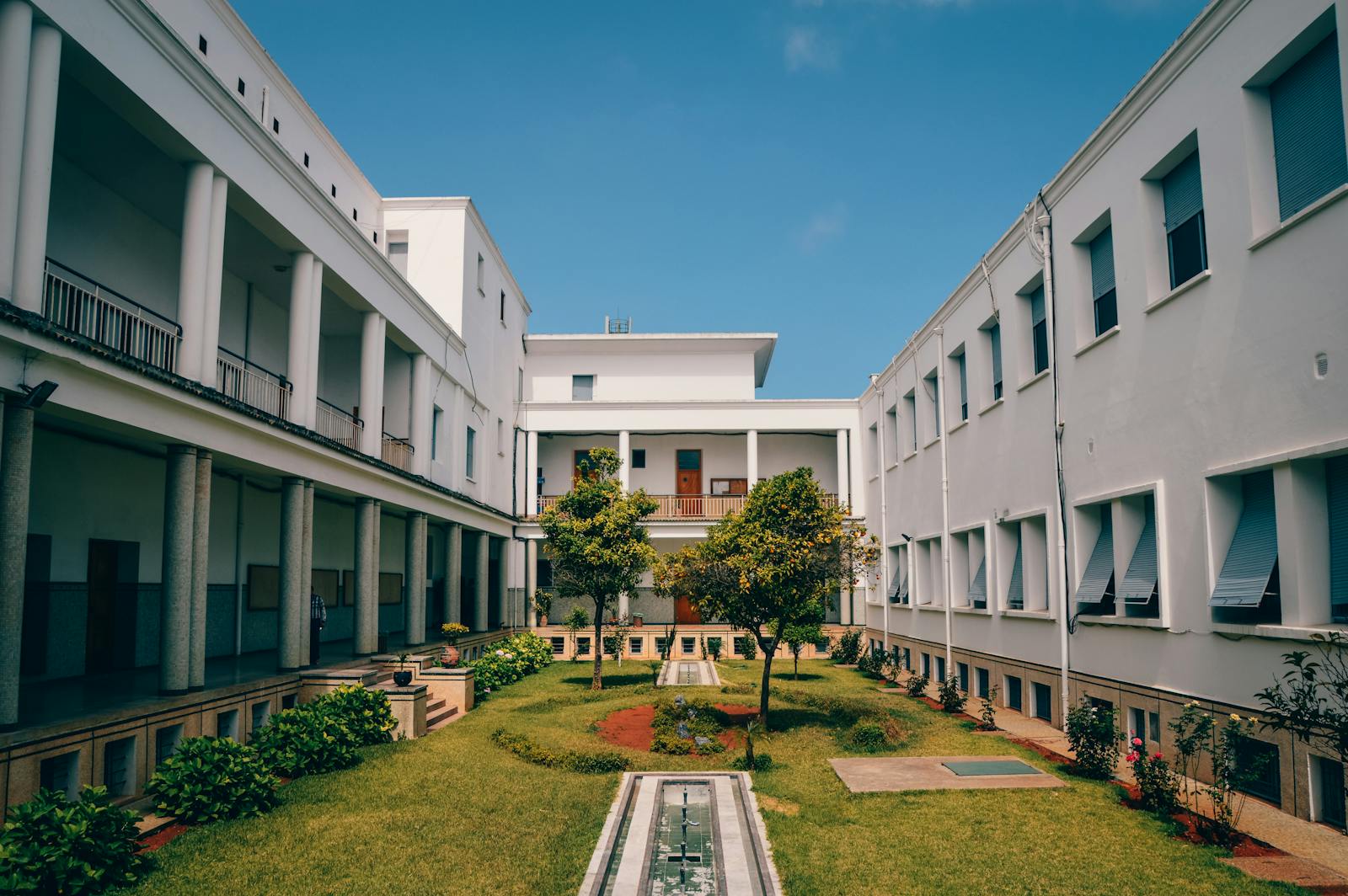 Green Trees Between White Concrete Buildings