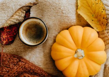 Close-up Photo of Small Pumpkin on a Knitted Fabric
