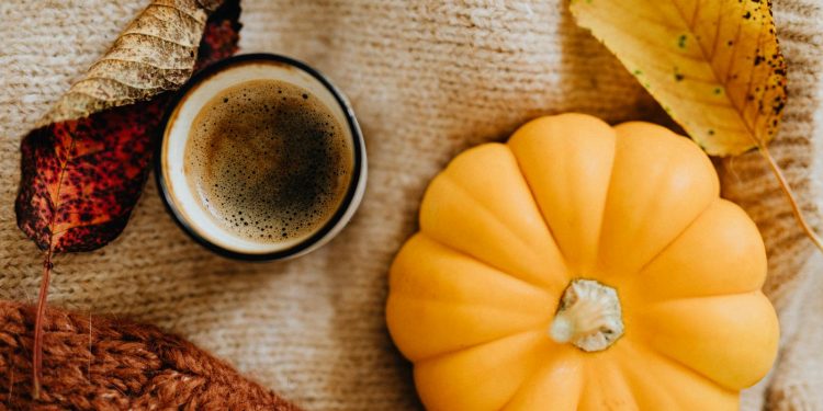 Close-up Photo of Small Pumpkin on a Knitted Fabric