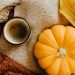 Close-up Photo of Small Pumpkin on a Knitted Fabric