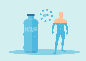 water, drink, body