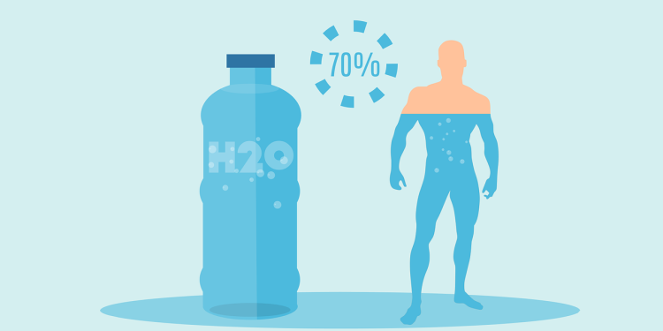 water, drink, body