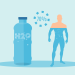 water, drink, body