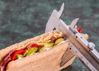 diet, vernier, sandwich
