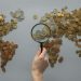 Anonymous person with magnifying glass over world map of coins