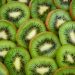 Sliced Kiwi Fruits